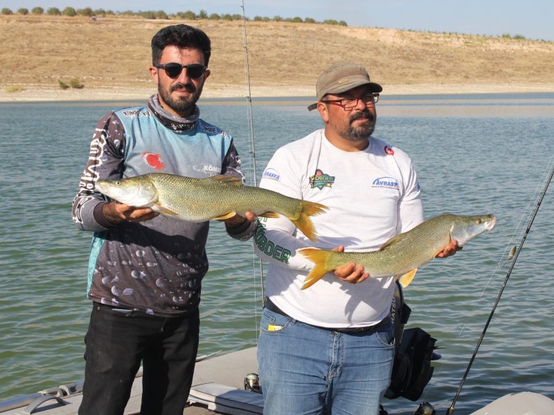 hilvanyeg görsel 14